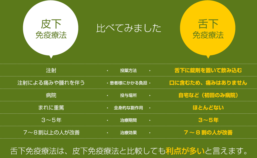 比べてみました